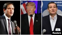 Các ứng viên tổng thống của đảng Cộng hòa: Marco Rubio, Donald Trump và Ted Cruz.