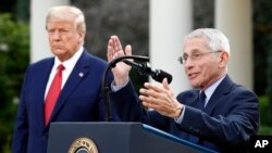 Tổng thống Hoa Kỳ Donald Trump và Bác sĩ Anthony Fauci tại một cuộc họp báo của Nhà Trắng.