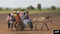 Cư dân di chuyển bằng xe do lừa kéo tại làng Koutoukale ở Niamey, Niger. Các lãnh đạo cấp cao của ông Gadhafi tiếp tục băng qua biên giới sa mạc vào Niger, nơi ông Gadhafi có các liên hệ với dân du mục Tuareg