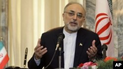 Bộ trưởng Ngoại giao Iran Ali Akbar Salehi.