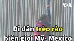 Di dân trèo rào biên giới Mỹ- Mexico chỉ để... bị bắt