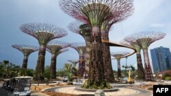 'Siêu cây' trong công viên 'Gardens by the Bay' ở Singapore