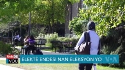 Elektè Endesi nan Eleksyon yo