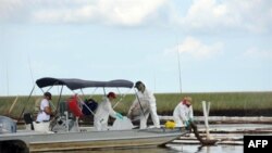 Công nhân tiếp tục dọn dẹp dầu trong vịnh Barataria gần Grand Isle, Louisiana, ngày 19 tháng 6, 2010