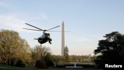 Trực thăng Marine One chuẩn bị hạ cánh đưa tổng thống Donald Trump xuống Nhà Trắng hôm 9/4. Hà Nội đang hy vọng tổng thống Trump sẽ tăng cường hợp tác Mỹ-Việt trong thương mại và cả chính trị.