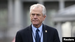 Ông Peter Navarro, cố vấn thương mại Tòa Bạch Ốc.