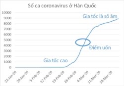 (Đồ thị trong bài do Vũ Quí Hạo Nhiên vẽ, dựa trên số liệu từ data.gouv.fr và Johns Hopkins University)