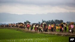 Tư liệu: Người tị nạn Rohingya băng qua các ruộng lúa sau khi vượt biên giới vào Bangladesh để tránh bạo lực. Ảnh chụp ngày 1/9/2017 (AP Photo/Bernat Armangue, File)