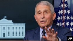 Bác sĩ Anthony Fauci, Giám đốc Viện Dị ứng và Bệnh Truyền nhiễm Quốc gia Mỹ (NIAID). 