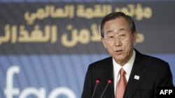 Tổng thư ký Liên hiệp quốc Ban Ki-moon kêu gọi Miến Điện trả tự do cho bà Aung San Suu Kyi và các tù nhân chính trị khác trước khi tổ chức bầu cử trong năm nay