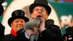 Ông Ron Ploucha ôm chú chuột Punxsutawney Phil trên tay khi chú ra khỏi hang hôm Chủ nhật 2 tháng 2, 2014