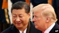 Ông Tập và ông Trump trong cuộc gặp năm 2017.