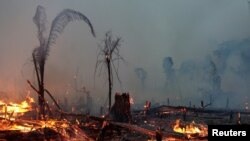 Một khoảng rừng Amazon bị cháy ở Machadinho do Oeste, bang Rondonia, Brazil, ngày 2/9/19.