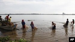 WWF nói các chủng loài tiêu biểu như loài cá ba sa khổng lồ ở sông Mekong có thể bị tuyệt chủng.