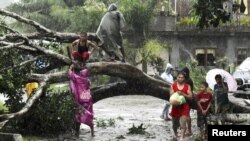 Cây cối bị bật gốc sau khi bão Bopha ập vào thành phố Tagum ở miền nam Philippines, ngày 4/12/2012.