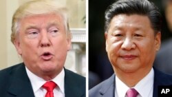 Tổng thống Mỹ Donald Trump (trái) và Chủ tịch Trung Quốc Tập Cận Bình.