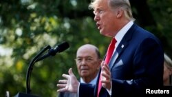 Bộ trưởng Thương mại Mỹ Wilbur Ross trong một cuộc họp báo với Tổng thống Trump.