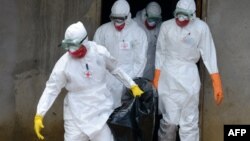 Ebola đã hoành hành tại Liberia, Guinea, Sierra Leone và Nigeria kể từ tháng 3 năm nay.