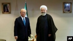 Tổng thống Iran Hassan Rouhani, phải, đón tiếp Giám đốc IAEA Yukiya Amano tại Tehran, Iran, hôm 2/7.