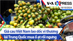 Giá cau Việt Nam lao dốc vì thương lái Trung Quốc mua ồ ạt rồi ngưng | Truyền hình VOA 19/10/24