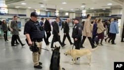 Nhân viên cảnh sát chó nghiệp vụ tại nhà ga Penn Station ở thành phố New York, ngày 16/4/2013.