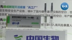 Thế nào là vaccine chuẩn?