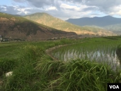 Bhutan đang đối mặt với khủng hoảng lao động ở nông thôn khi những thanh niên trẻ muốn cuộc sống ở thành thị hơn.