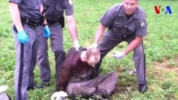 David Sweat bị cảnh sát tóm như thế nào?