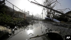 Trụ điện bị ngã sau bão Maria ở Puerto Rico.