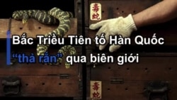 Bắc Triều Tiên tố Hàn Quốc “thả rắn” qua biên giới