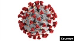 Virus gây bệnh Covid-19 với những cây cọc protein bên ngoài. (Hình: CDC/ Alissa Eckert, MSMI; Dan Higgins, MAMS)