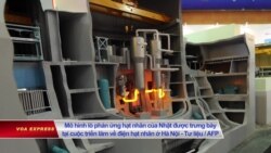 Vì sao Việt Nam ngừng dự án điện hạt nhân