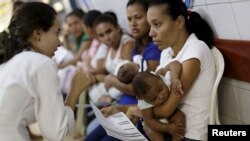 Virus Zika được cho có dính líu tới 4.000 ca nghi nhiễm của bệnh teo não tại Brazil.