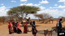 Nạn hạn hán nghiêm trọng tại Somalia đã làm tê liệt lãnh vực nông nghiệp cả nước