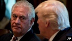 Ngoại trưởng RexTillerson và Tổng thống Donald Trump trong cuộc họp Nội các ngày 12/6/2017.