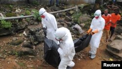 Ebola đã giết chết gần 2.300 người trong năm nay, chủ yếu là ở Guinea, Sierra Leone và Liberia.Nhân viên y tế 