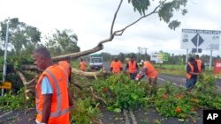 Công nhân dọn dẹp cây cối bị đổ sau trận bão tại Lami, Fiji, ngày 21/2/2016.