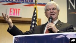 Cựu Chủ tịch Quốc hội Hoa Kỳ Newt Gingrich